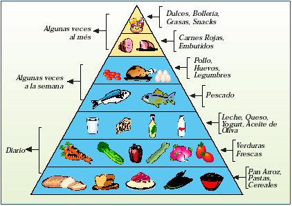 Pirámide de alimentos